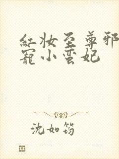 红妆至尊邪帝溺宠小蛮妃封面