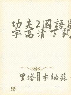 功夫2国语版中字高清下载