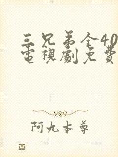 三兄弟全40集电视剧免费观看