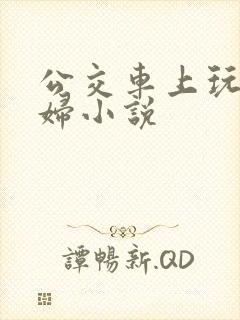 公交车上玩弄少妇小说