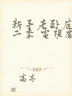 新手老卧底 第二季 电视剧