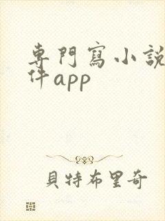 专门写小说的软件app