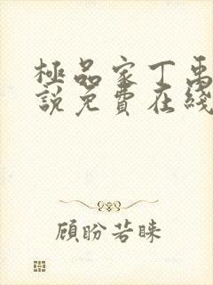 极品家丁禹岩小说免费在线阅读完整版