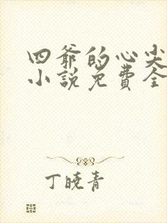 四爷的心尖宠妃小说免费全文阅读