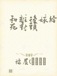 和离后嫁给前夫死对头封面