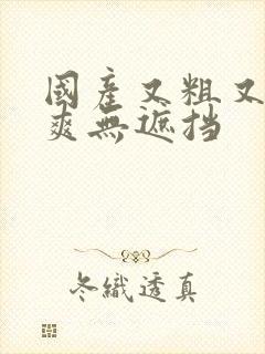 国产又粗又猛又爽无遮挡封面