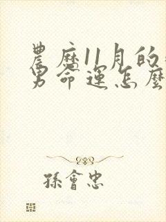 农历11月的鸡男命运怎么样