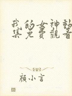 我的女神动漫全集免费观看