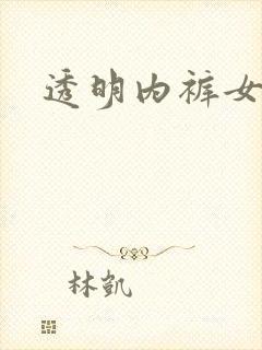 透明内裤女无档