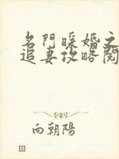 名门暖婚之权爷追妻攻略阅读