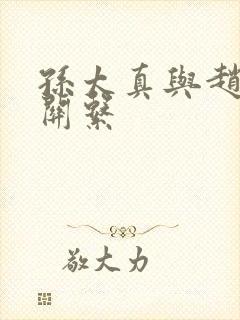 孙太真与赵匡胤关系封面