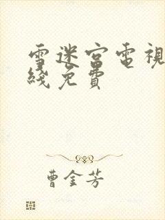 雪迷宫电视剧在线免费封面