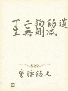 丁二狗的逍遥人生无删减封面