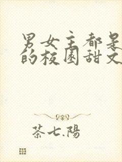 男女主都是学霸的校园甜文