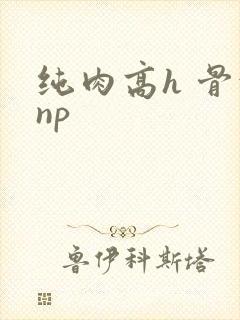 纯肉高h 骨科np封面