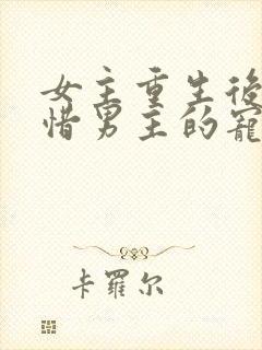 女主重生后悔珍惜男主的宠文