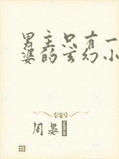 男主只有一个老婆的玄幻小说