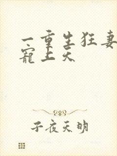 一重生狂妻大佬宠上天