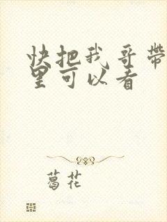 快把我哥带走哪里可以看封面