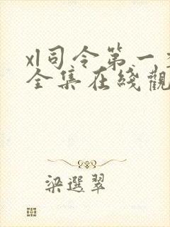 xl司令第一季全集在线观看免费播放