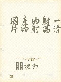 国产内射一级一片内射高清视频