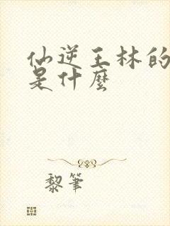 仙逆王林的意境是什么