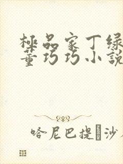 极品家丁绿帽版董巧巧小说