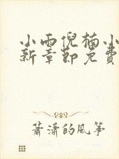 小雨倪楠小说最新章节免费阅读