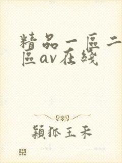 精品一区二区三区av在线