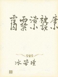 霍雨浩被唐舞麟囚禁小说小说