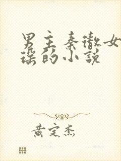 男主秦彻女主许瑶的小说封面