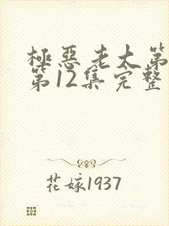 极恶老大第2季第12集完整版