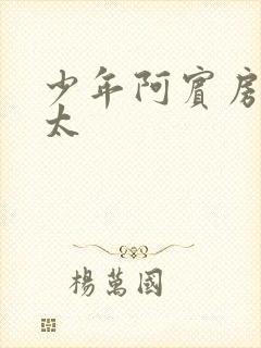 少年阿宾房东太太封面