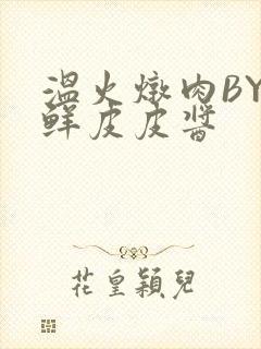 温火炖肉BY海鲜皮皮酱封面