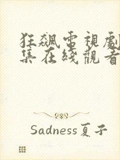 狂飙电视剧40集在线观看免费一封面