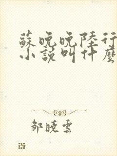 苏晚晚陆行简的小说叫什么