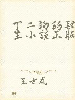 丁二狗的肆意人生小说正版