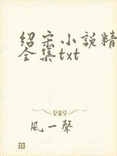 绍宋小说精校版全集txt