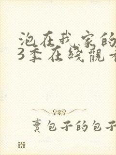 泡在我家的辣妹3季在线观看