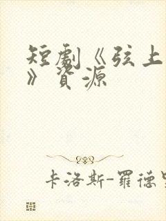 短剧《弦上光年》资源