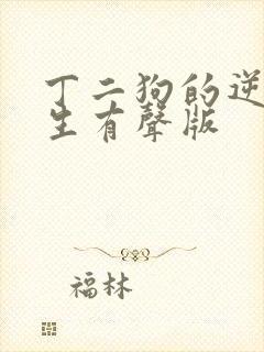 丁二狗的逆袭人生有声版