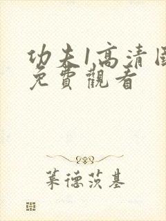 功夫1高清国语免费观看