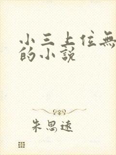 小三上位无三观的小说