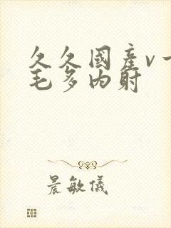 久久国产v一级毛多内射