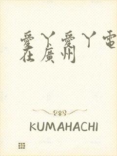 爱丫爱丫电视剧在广州