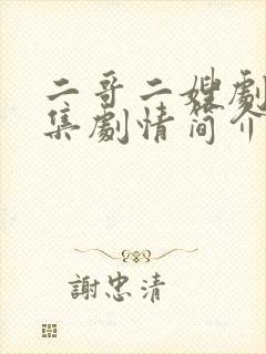 二哥二嫂剧情分集剧情简介