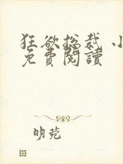 狂欲总裁 小说免费阅读