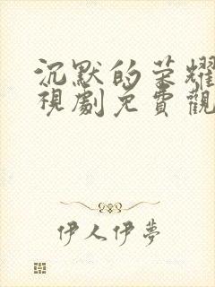 沉默的荣耀 电视剧免费观看全集高清