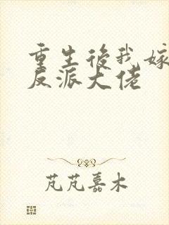 重生后我嫁给了反派大佬