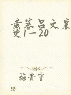 黄蓉吕文襄阳秘史1—20封面
